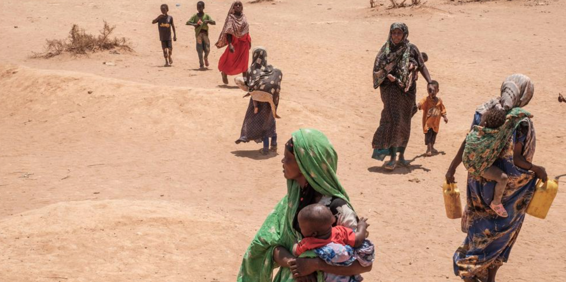 Sécheresse Ligad Demande De Laide Pour Lutter Contre La Famine Dans La Corne De Lafrique 8547